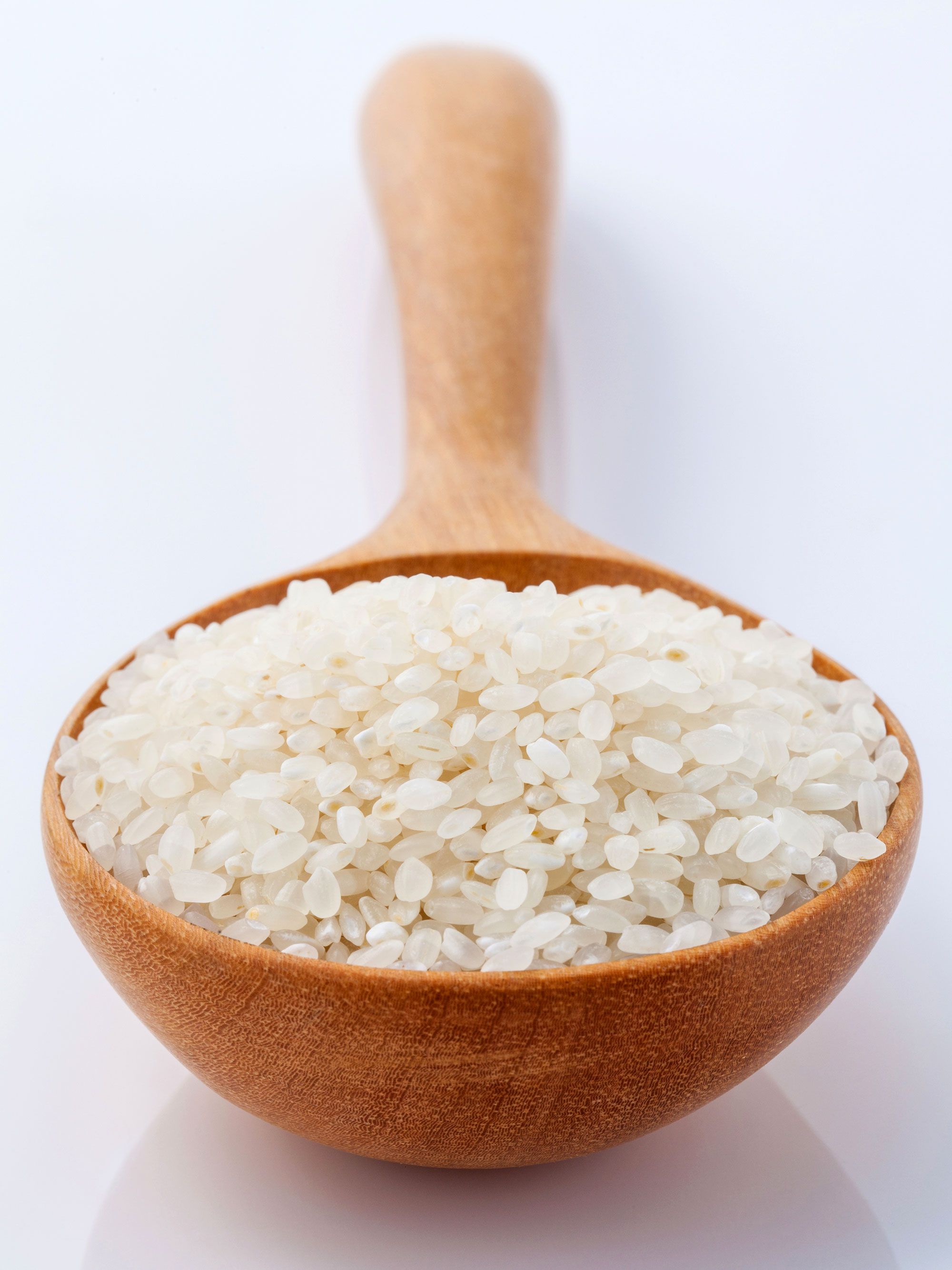 arroz redondo grano corto