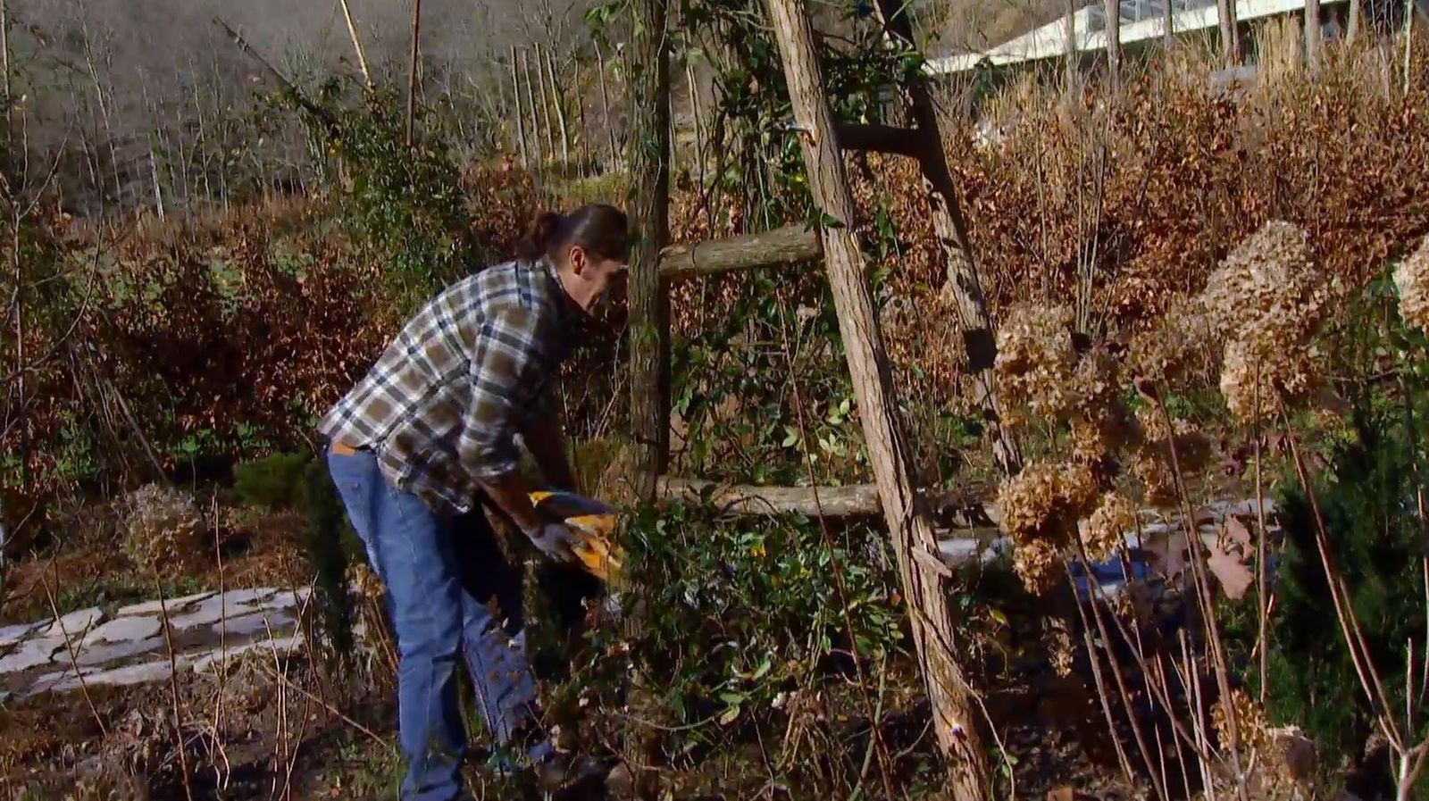 Hacer una estructura para un rosal trepador paso 4