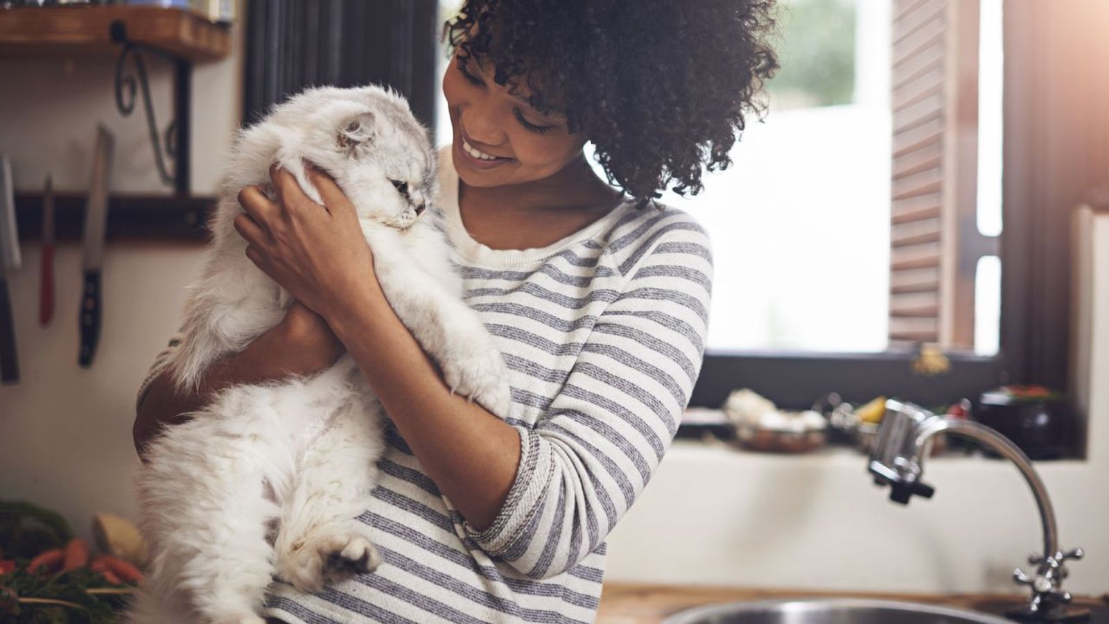 regalos para amantes de los gatos