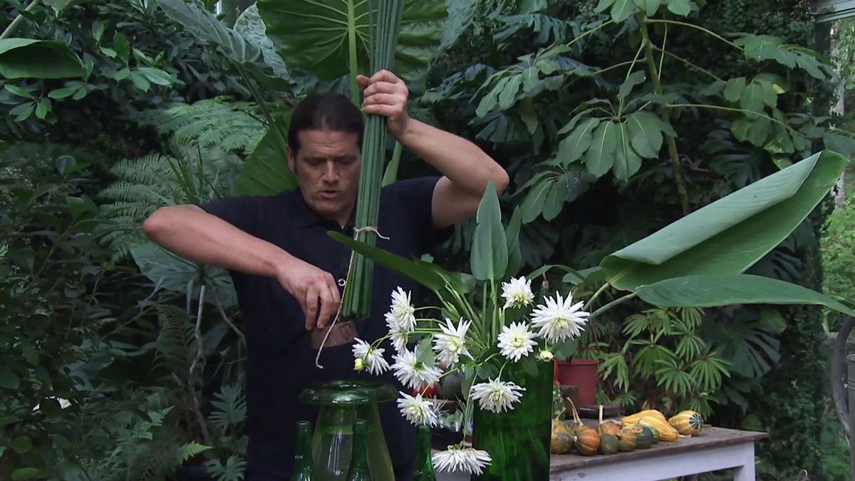 deco 751 jardin compsoiciones floral junco