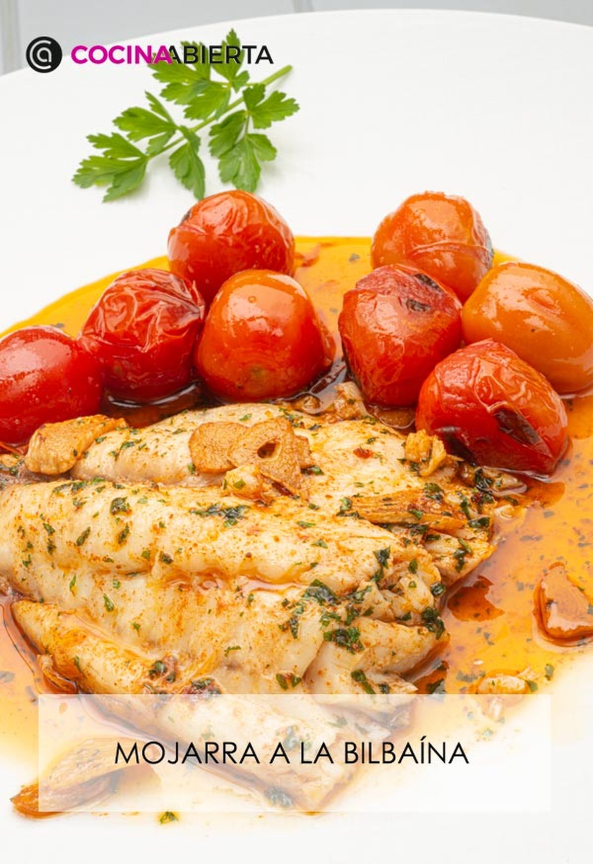 karl6698 mojarra bilbaina v