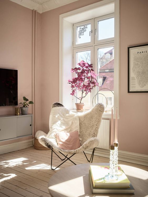 decoracion rosa palo 1