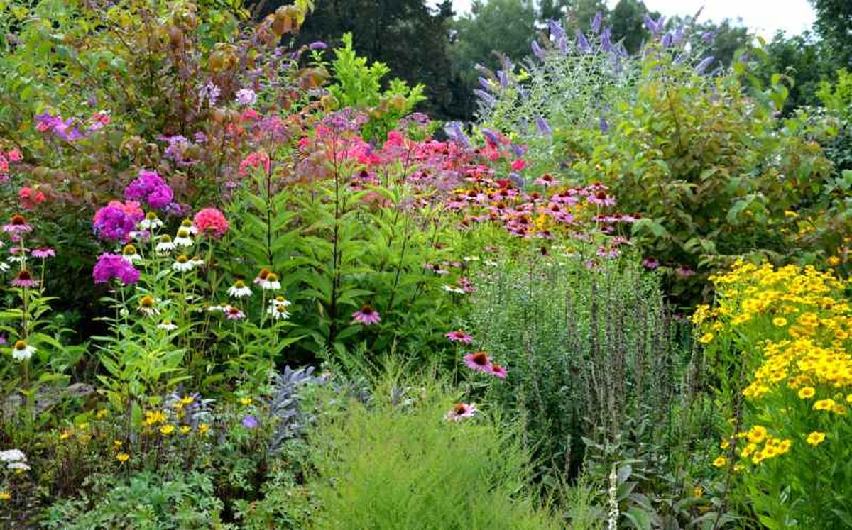 Las introducción de especies exóticas conlleva un impacto en el jardín