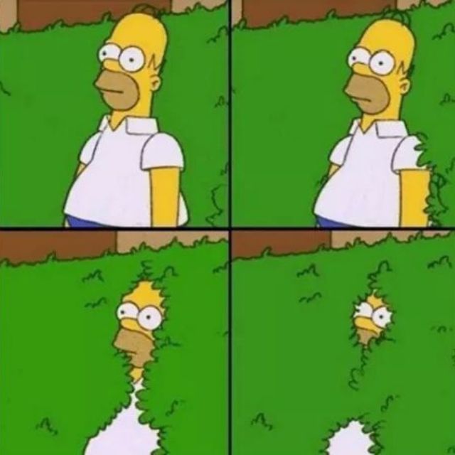 Homer escondiéndose entre los setos / Foto Pinterest: @sarameyalli
