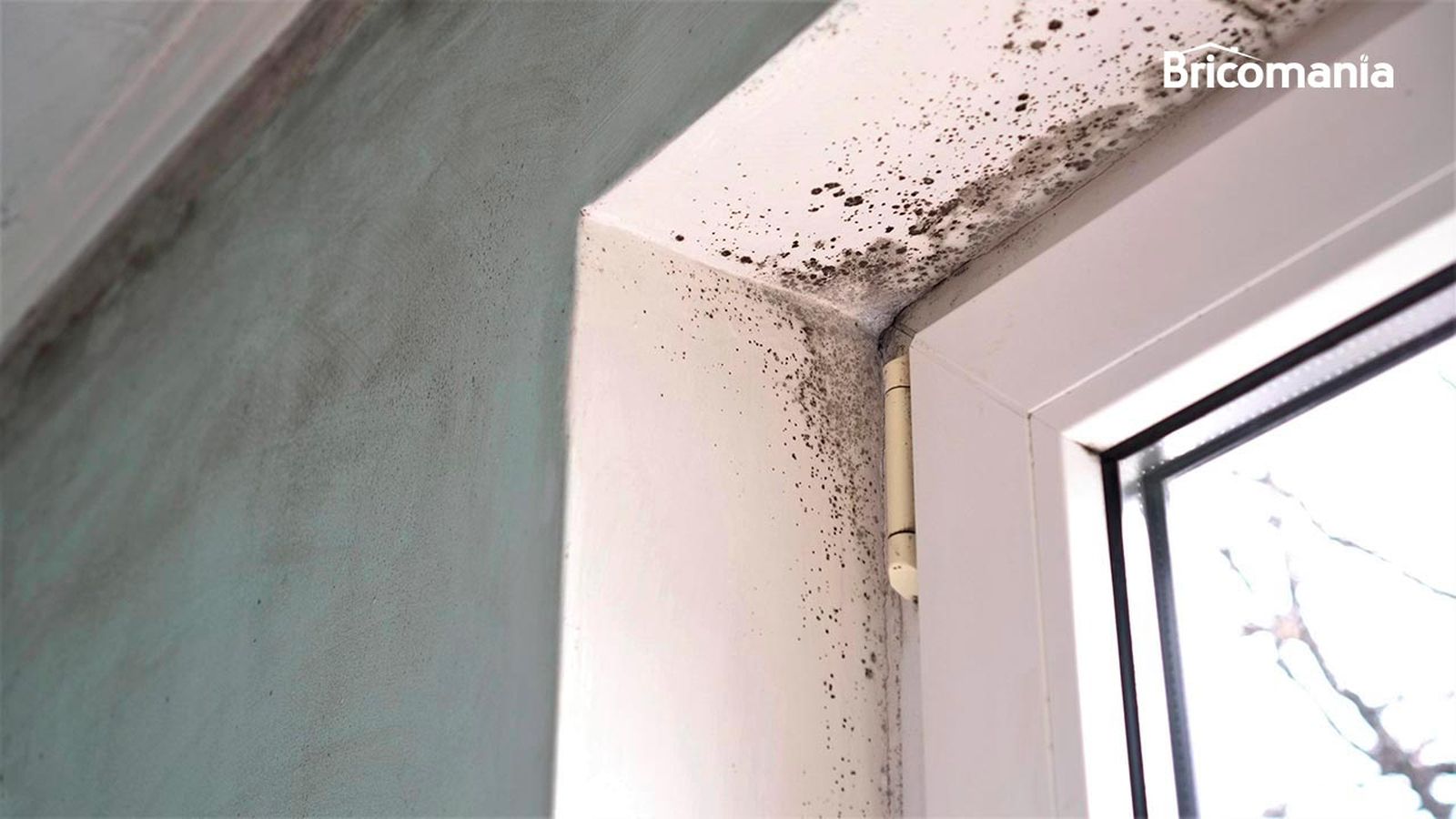 por que sale humedad por condensacion