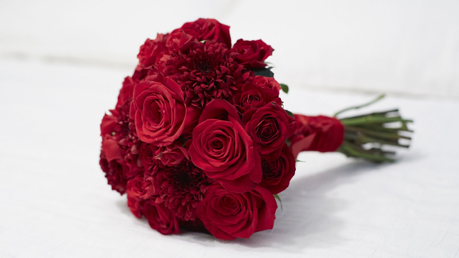 significado rojas rojas san valentin