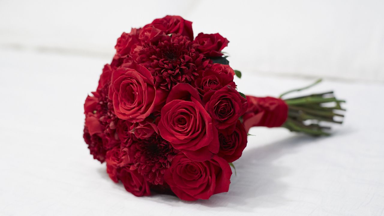 significado rojas rojas san valentin