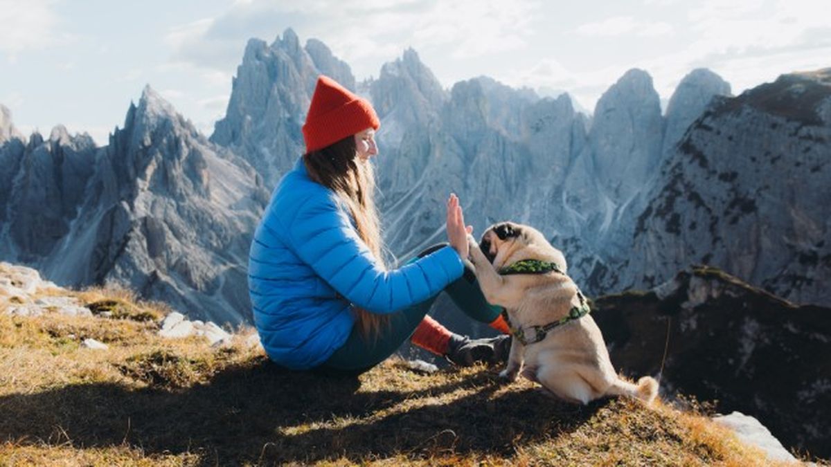 nombres para perros bonitos y originales 7