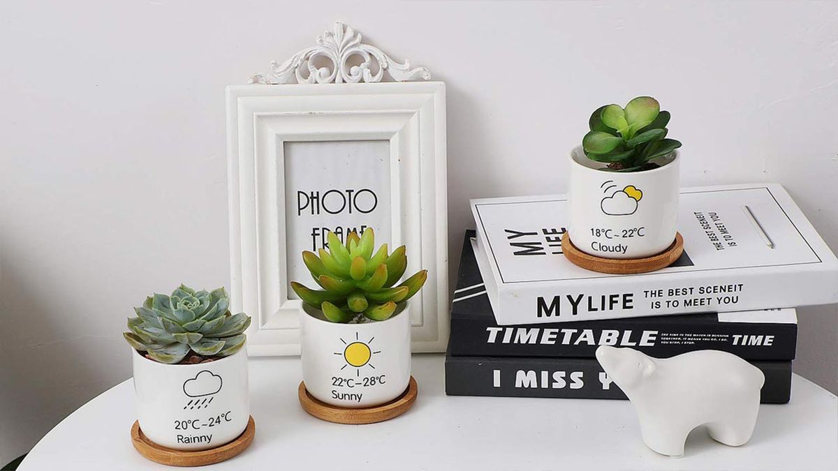 macetero ceramica moderno T4U