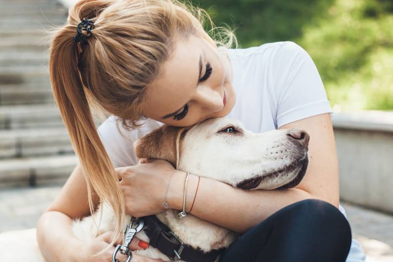 Se realizaron varias pruebas con 20 perros de diferentes razas y mestizos.