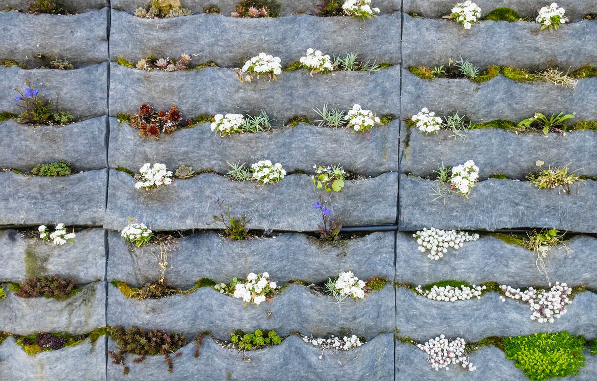 Cómo hacer un jardín vertical