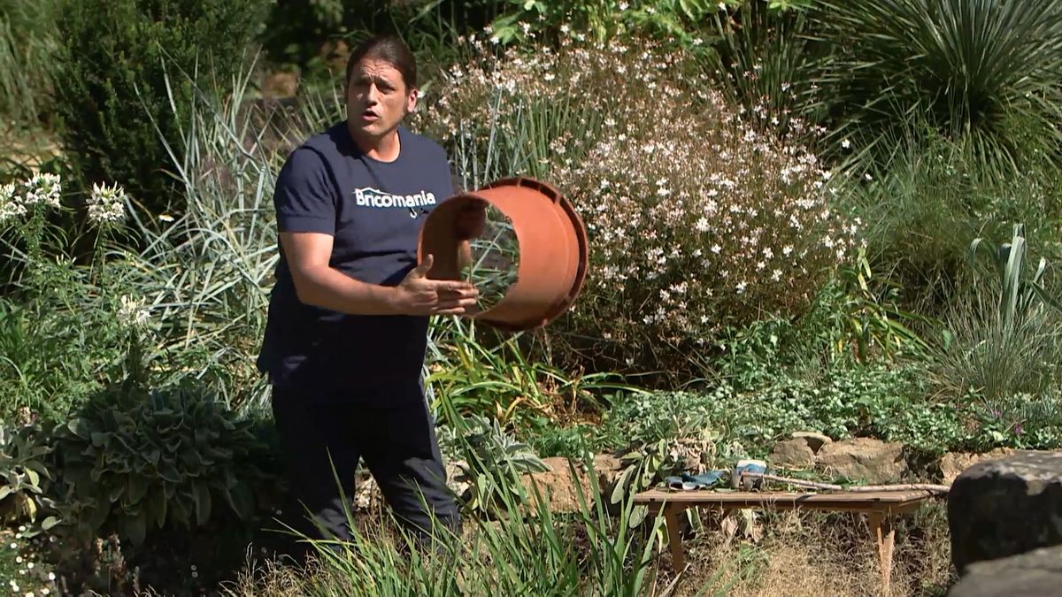 brico 965 briconsejo 3 como eliminar correhuela paso 3