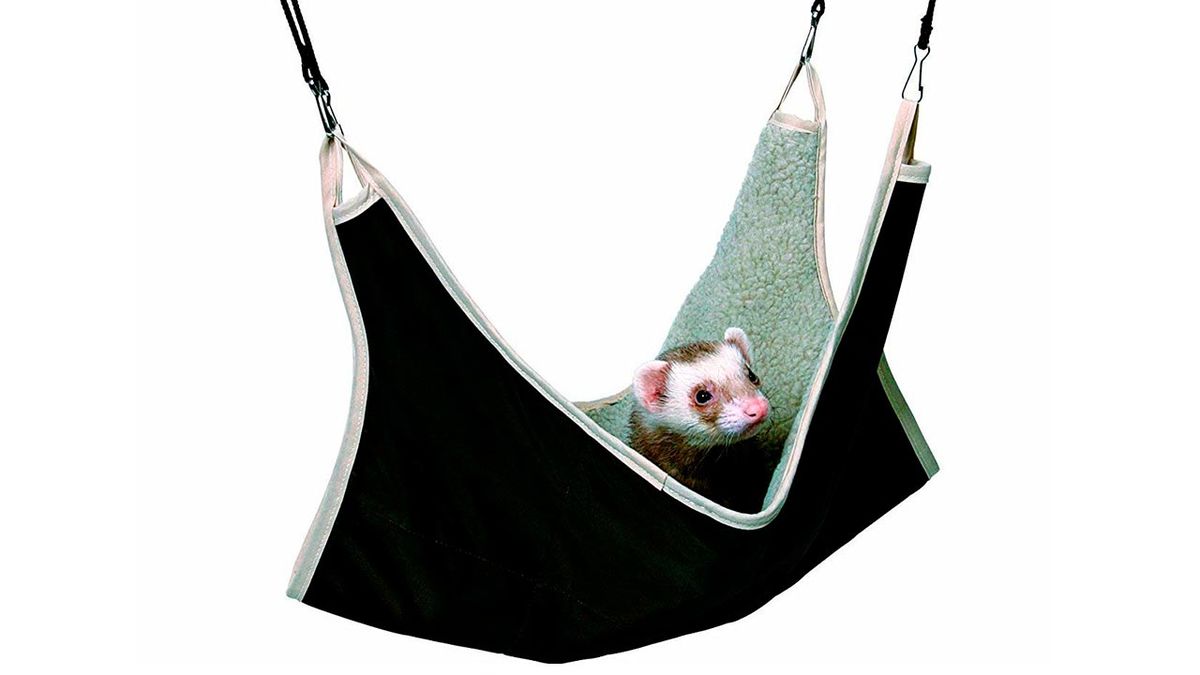 mascotas regalos navidad 8