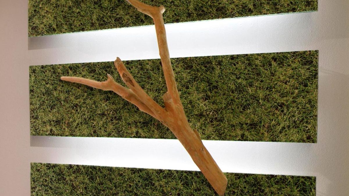 Cuadro retroiluminado paso 21