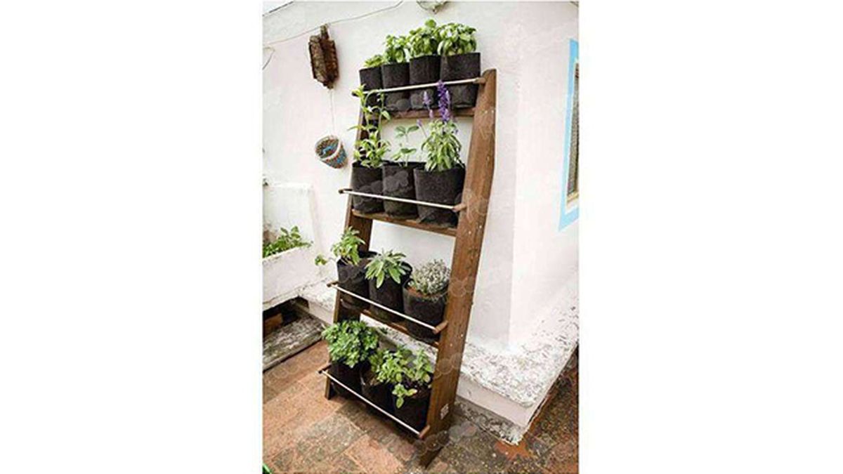 jardin vertical zurnek 50cm