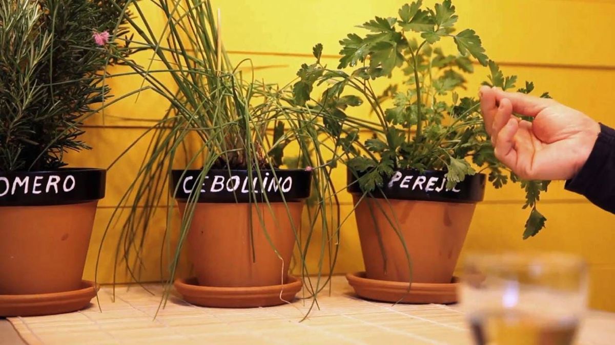 como pintar macetas de barro 10