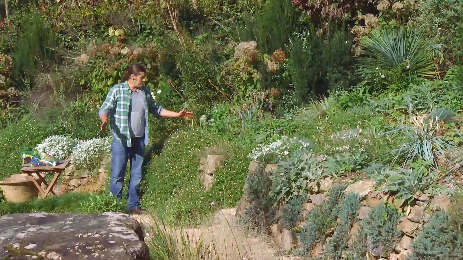 deco 674 plantas muros xl