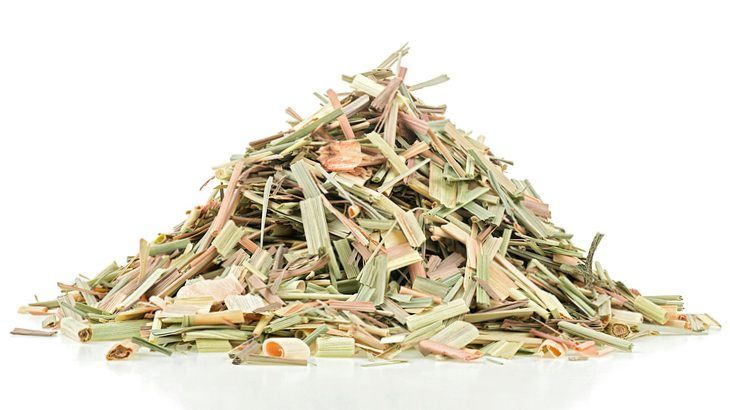 lemongrass seco