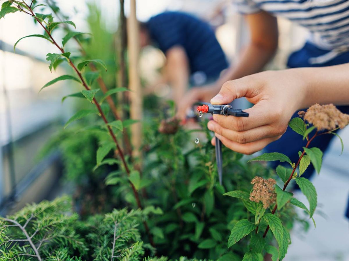 Cada sistema de riego automático se adecua a un tipo de cultivo u otro.