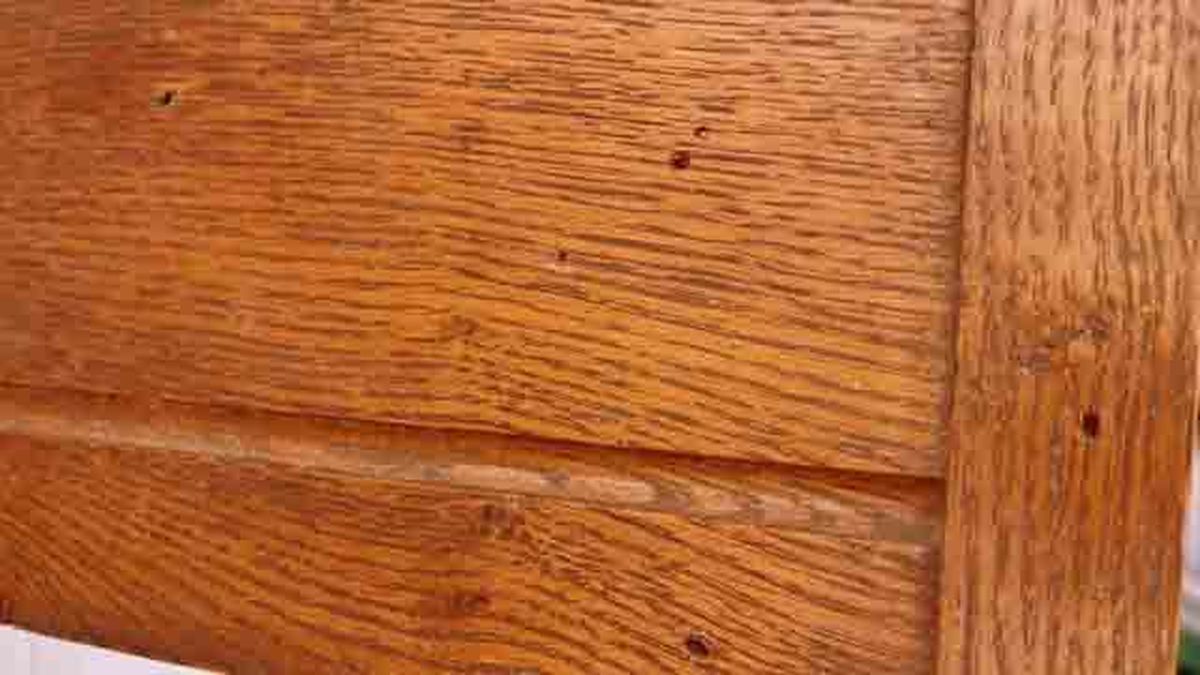 Bricomania 341 Tratamiento carcoma p1