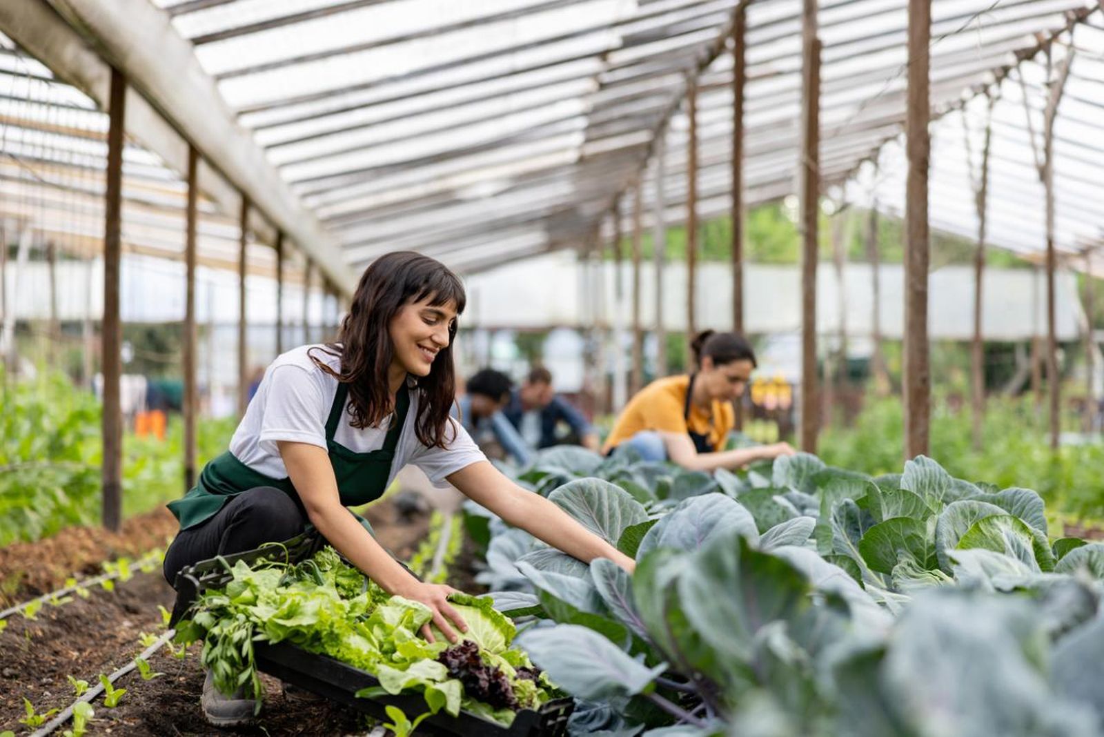 Mujer cultivando en su huerto