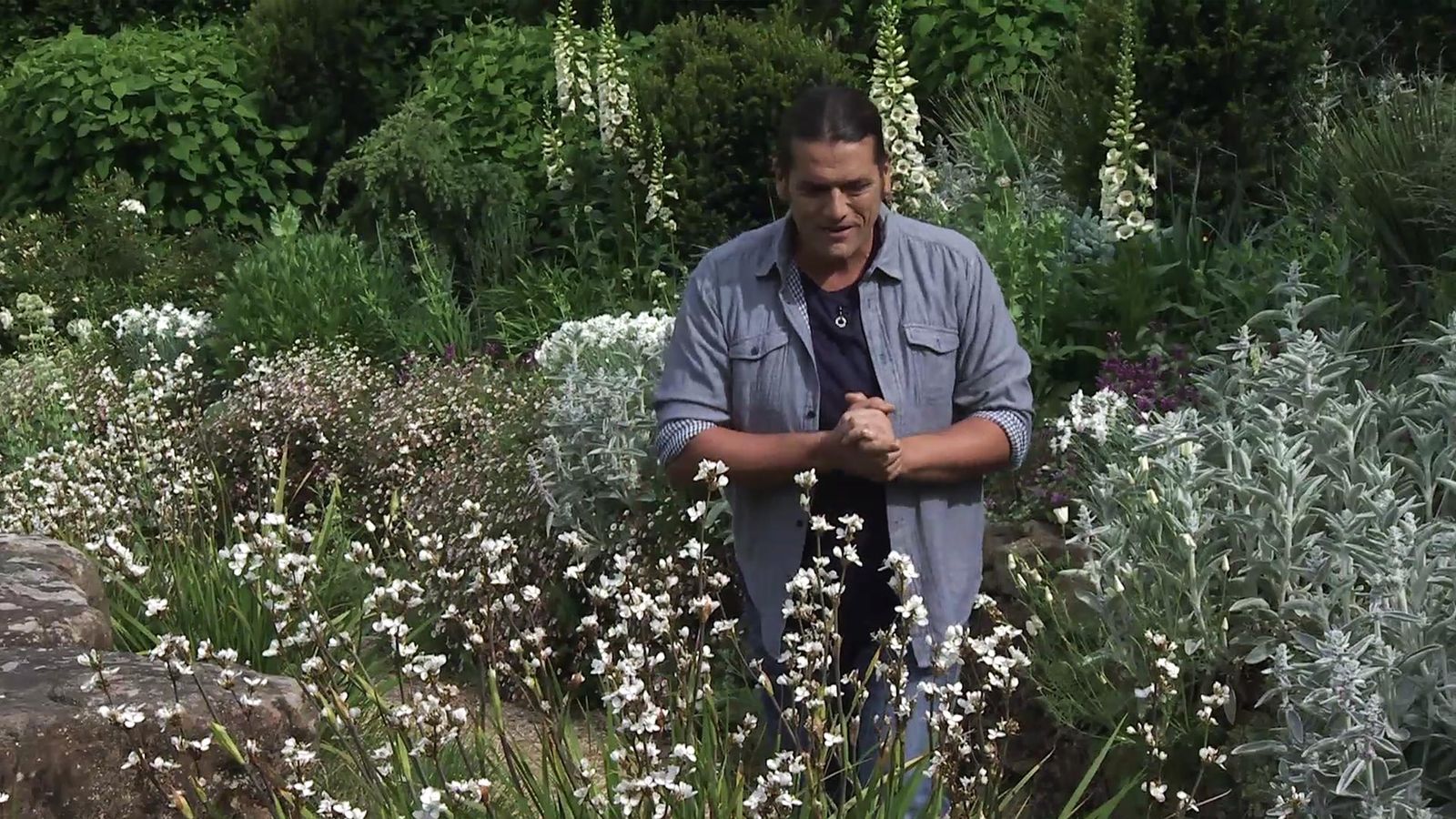 deco 736 jardineria libertia xl