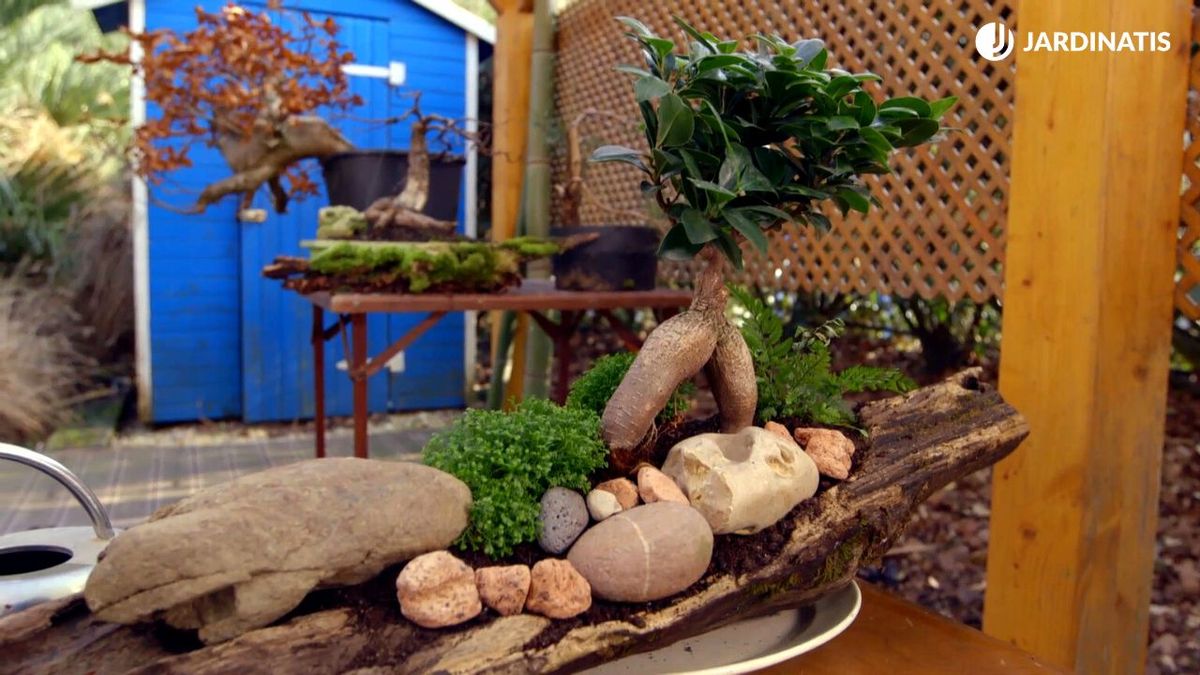 brico 0897 jardineria como crear micro paisaje xl