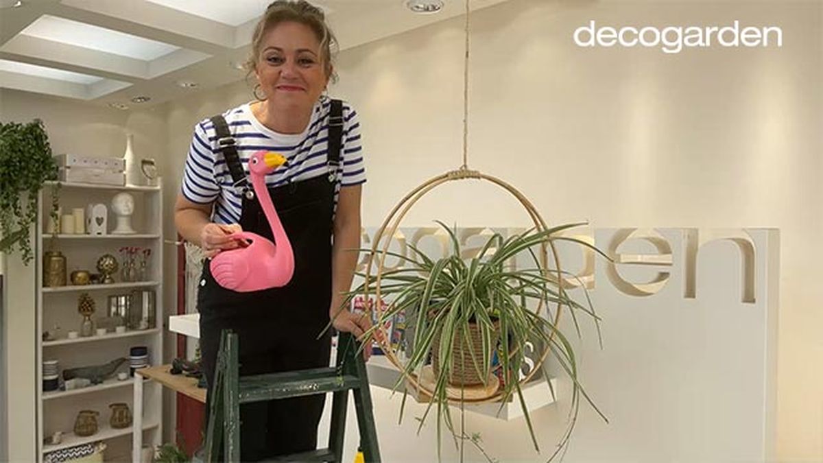 hacer soporte colgar plantas interior paso 12