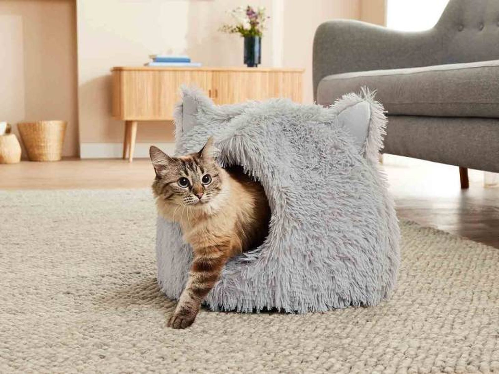 cueva gatos lidl