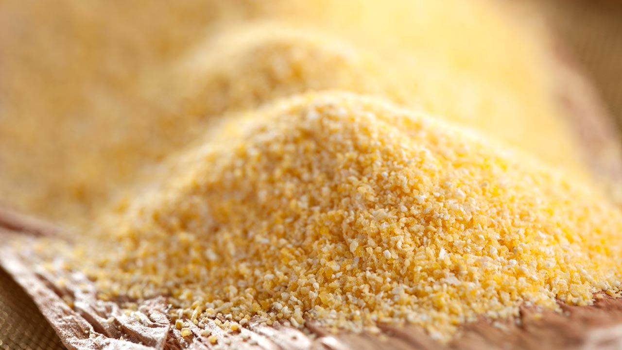 Polenta: origen, tipos y propiedades