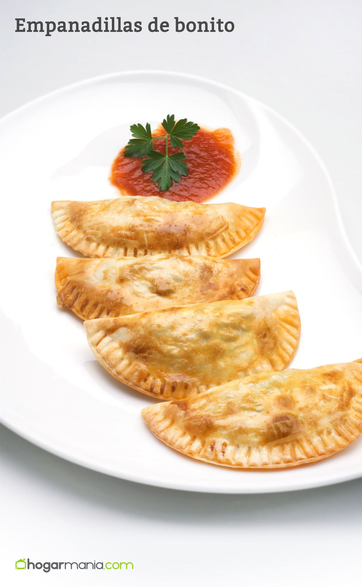 5966 1 Empanadilla de bonito vertical xl