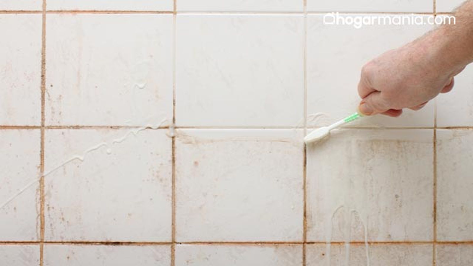 como quitar el moho de los azulejos del bano
