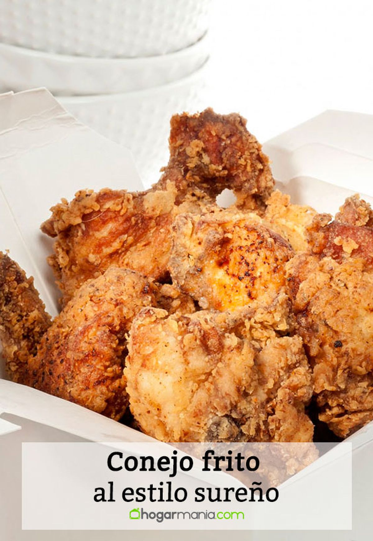 conejo frito estilo sureno pin