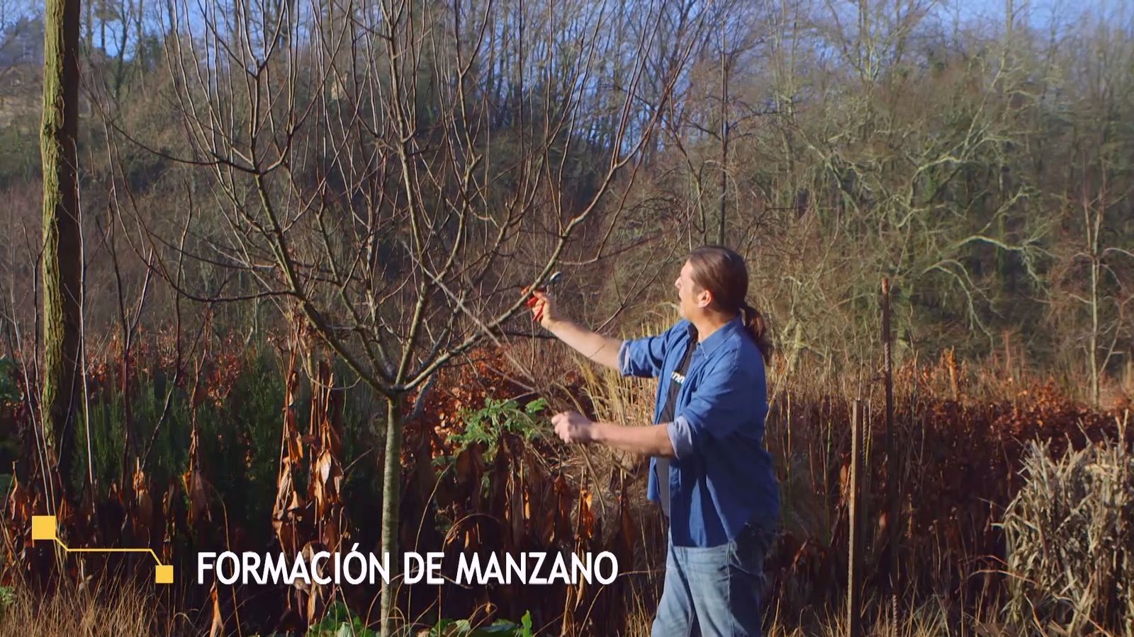 brico 938 3 conseguir manzano frutos xl