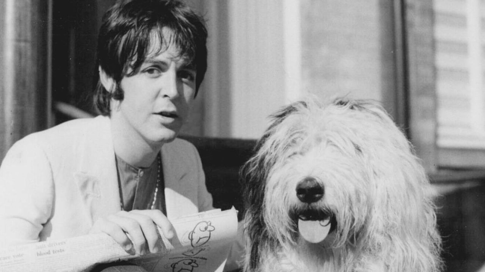 Martha perra pastor ingles de Paul McCartney cancion the Beatles