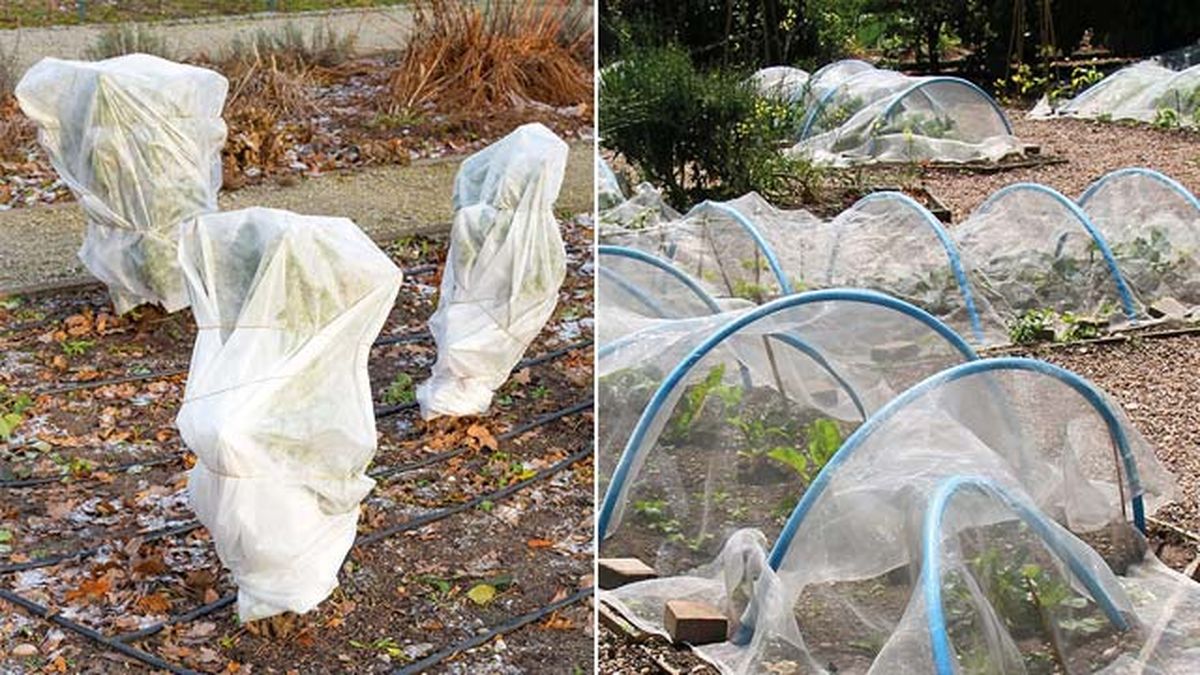 Manta térmica de Green Thumbz