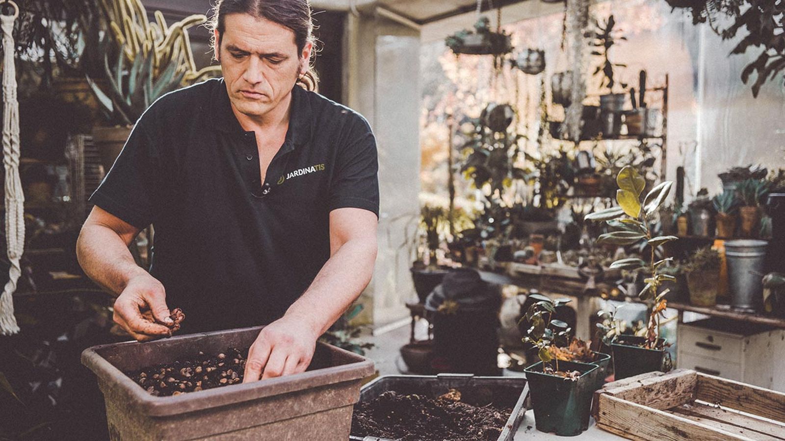 brico 1015 jardin recolectar sembrar camelias xl