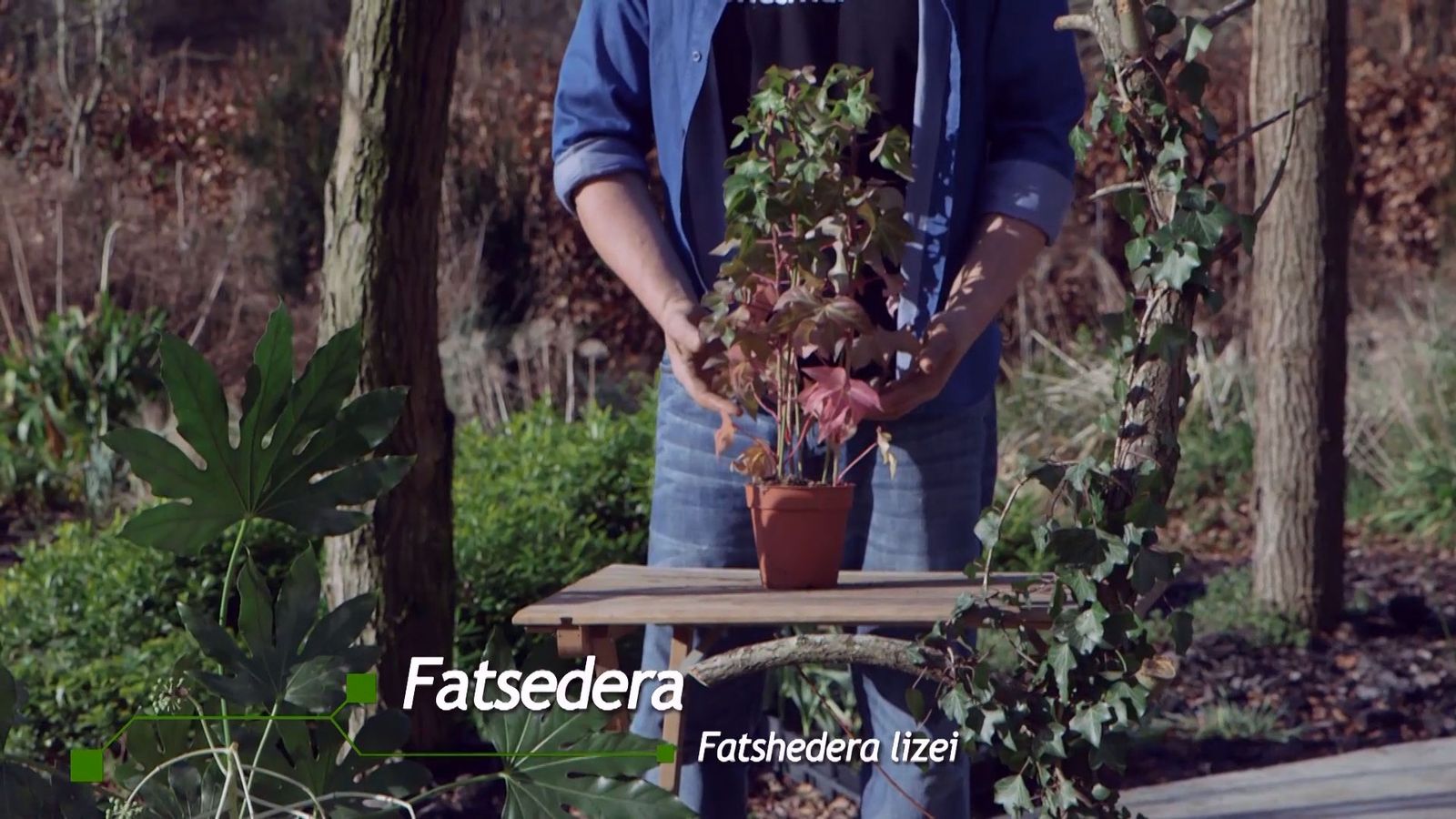 brico 940 3 fatsedera xl