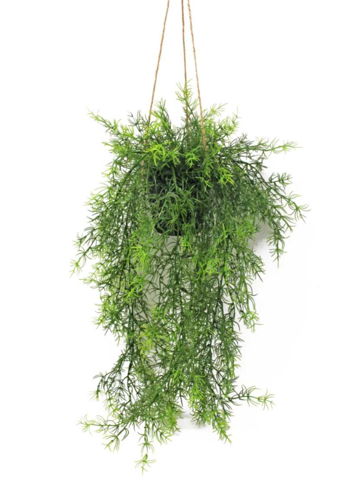 Esparraguera colgante artificial.