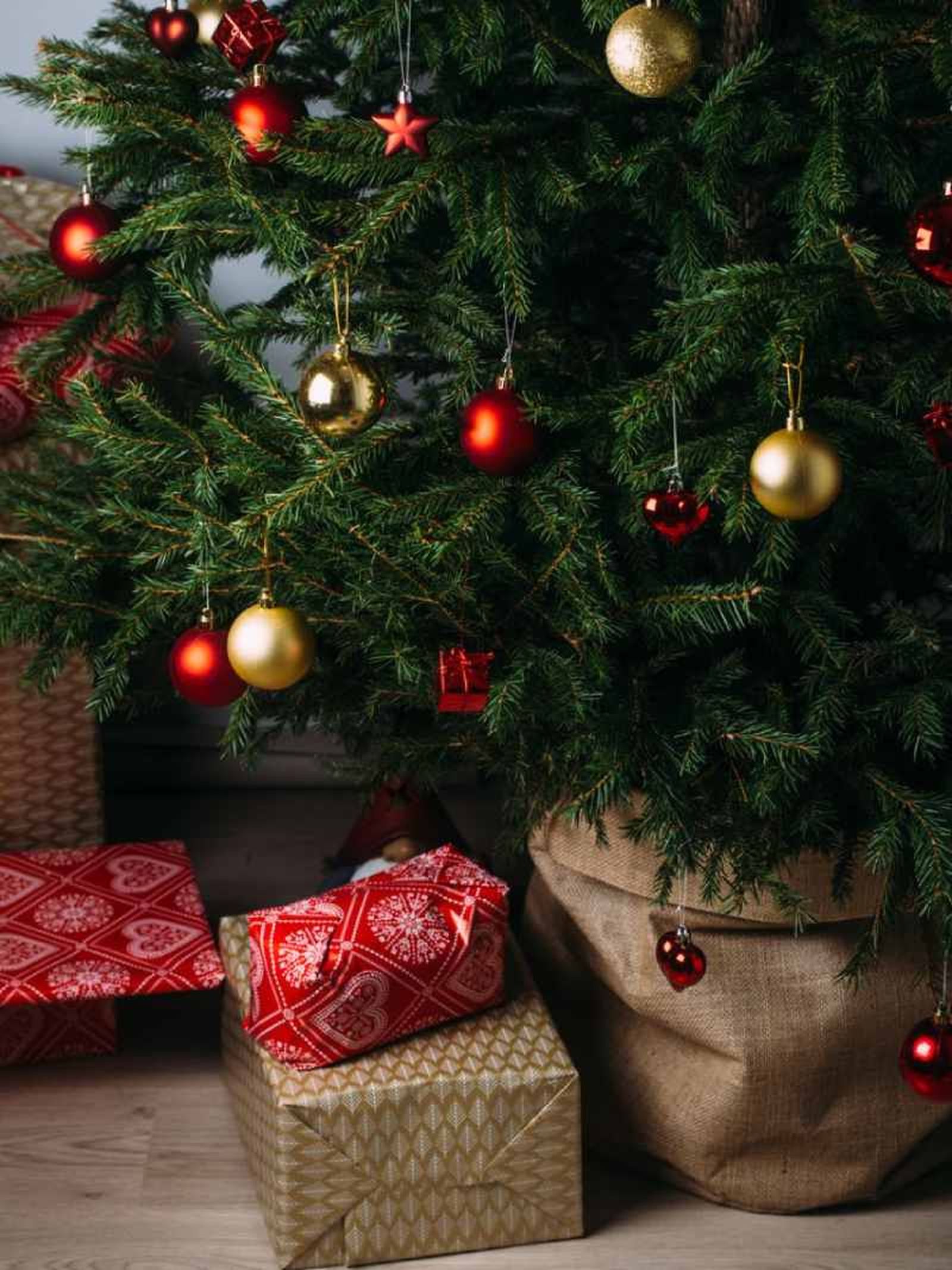 Muchos árboles de Navidad naturales pueden ser replantados