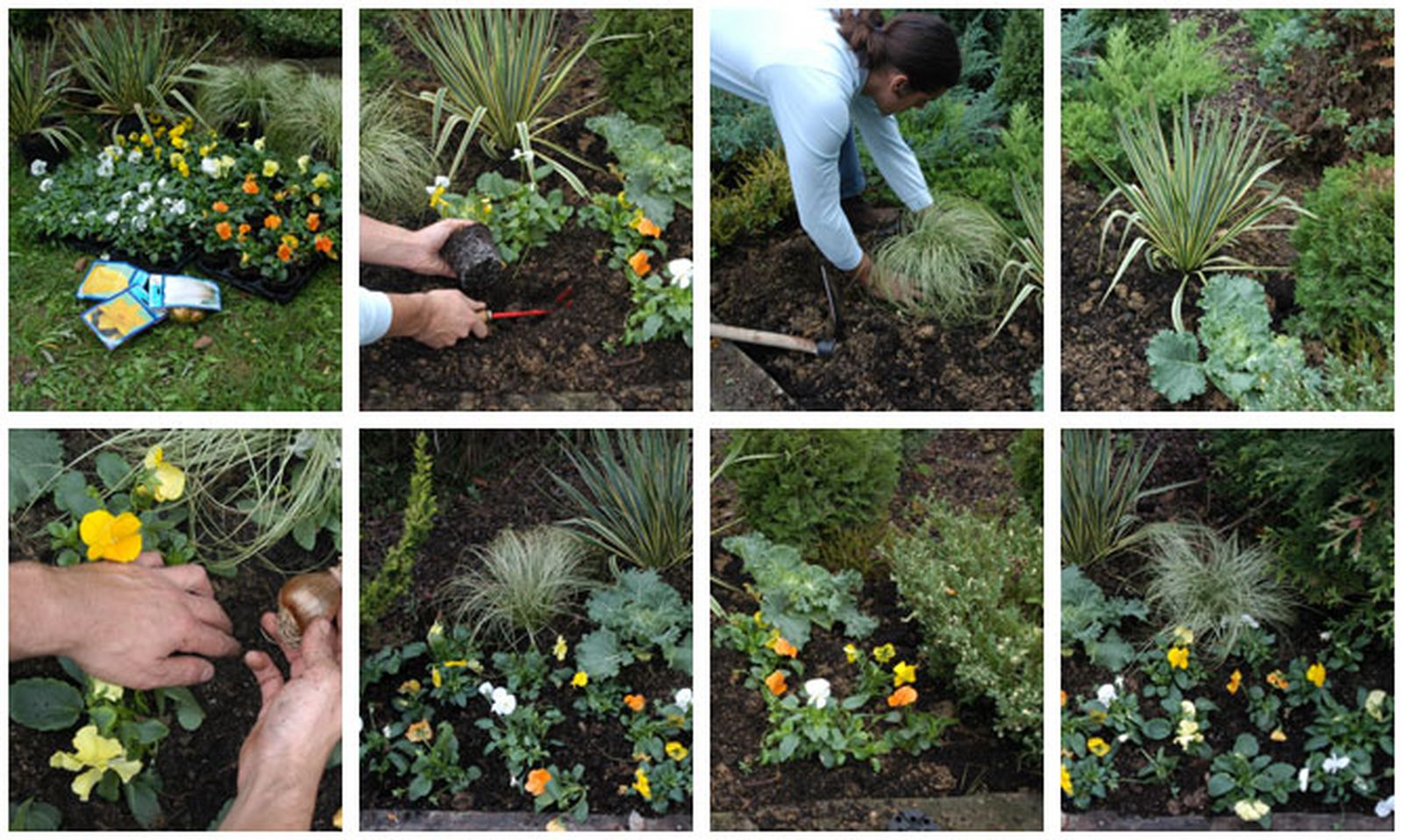 flores de inivierno en parterre brico313