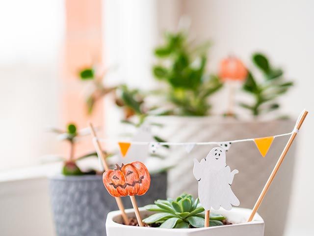 manualidades halloween decorar plantas resultado final 2