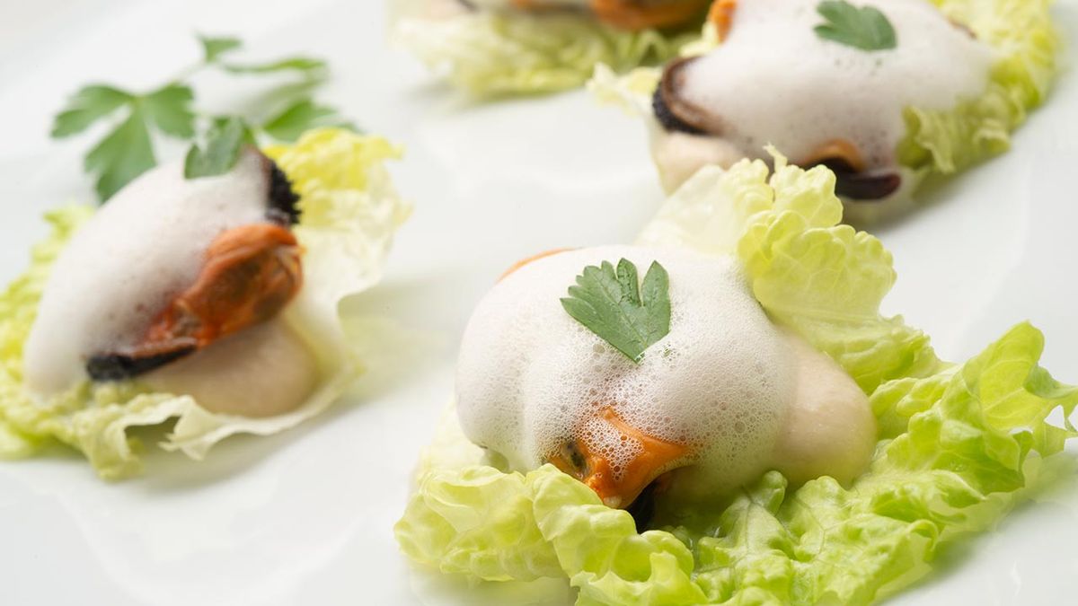 KARL6540 saam mejillones xl