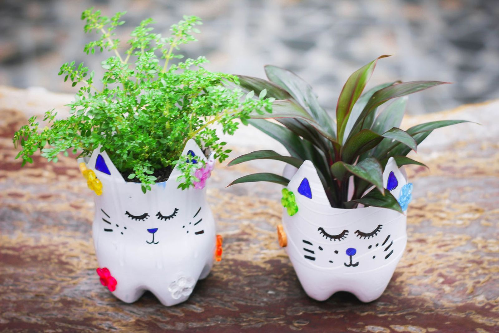 tiestos gatitos diy paso 4