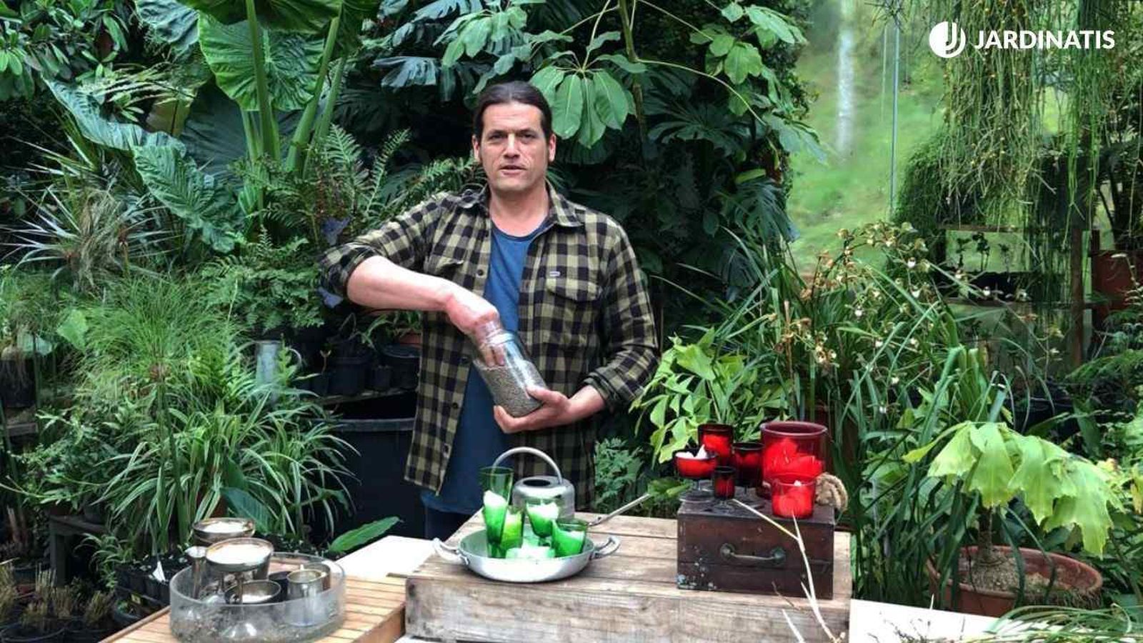 Germinados de lentejas con papel higiénico