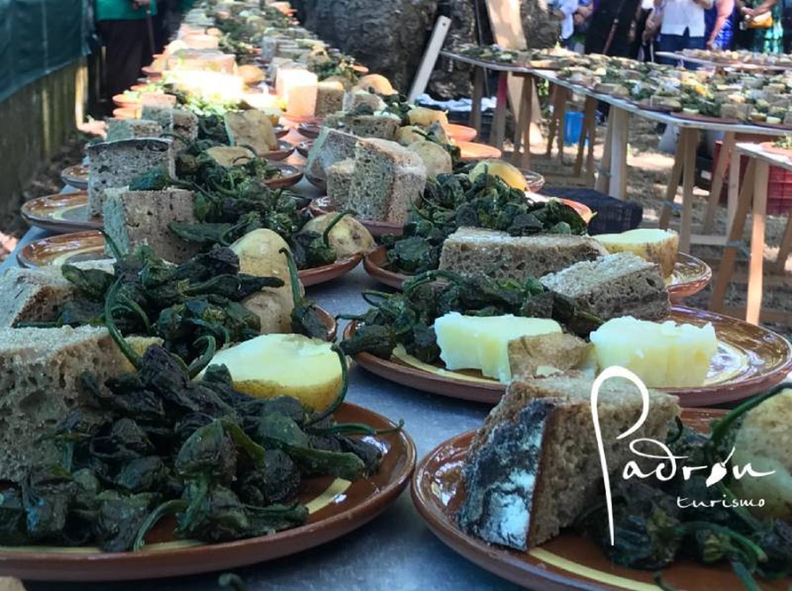 Cata tradicional de pimientos de Padrón (A Coruña, Galicia)