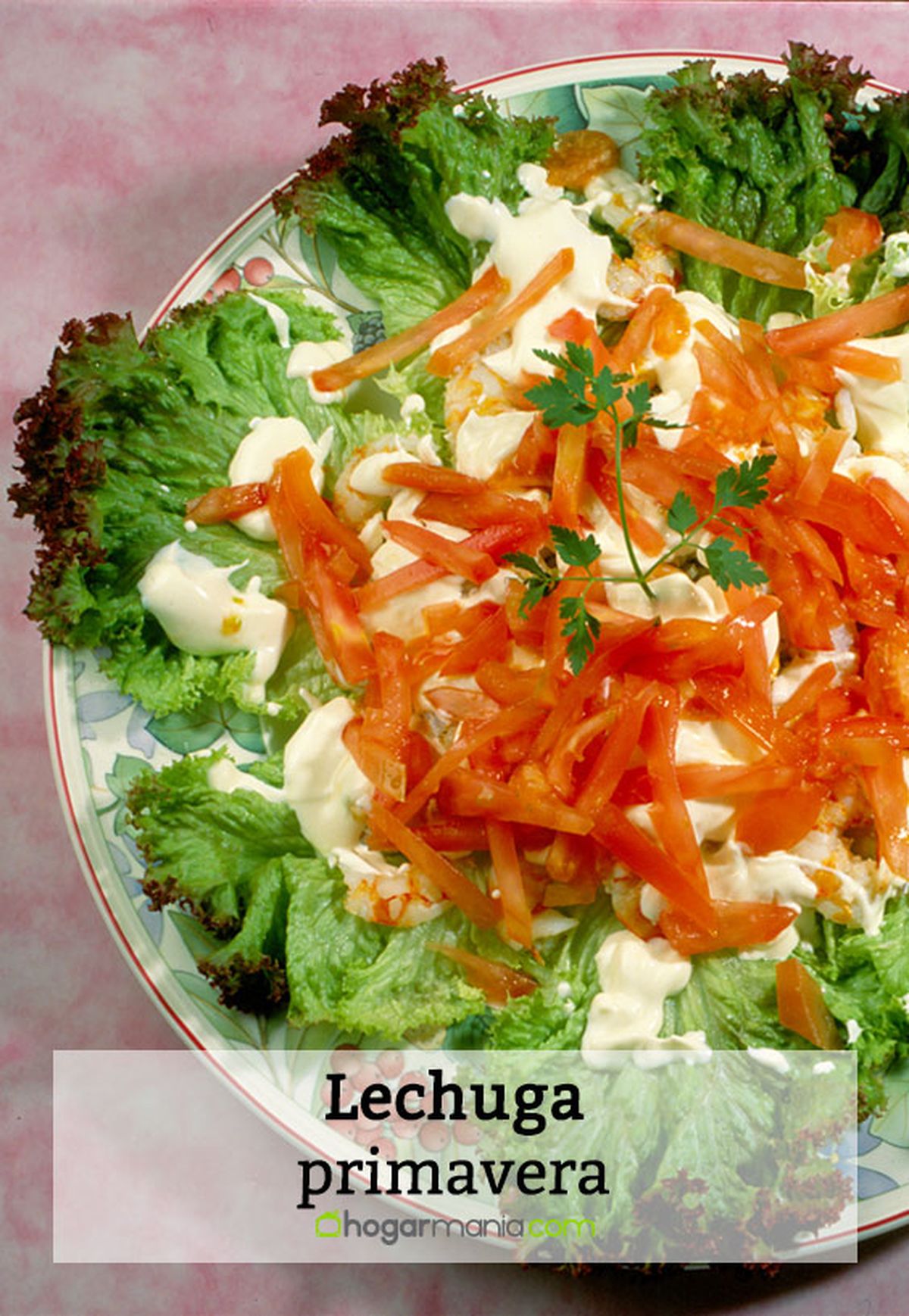 030 1 lechuga asada primavera pin