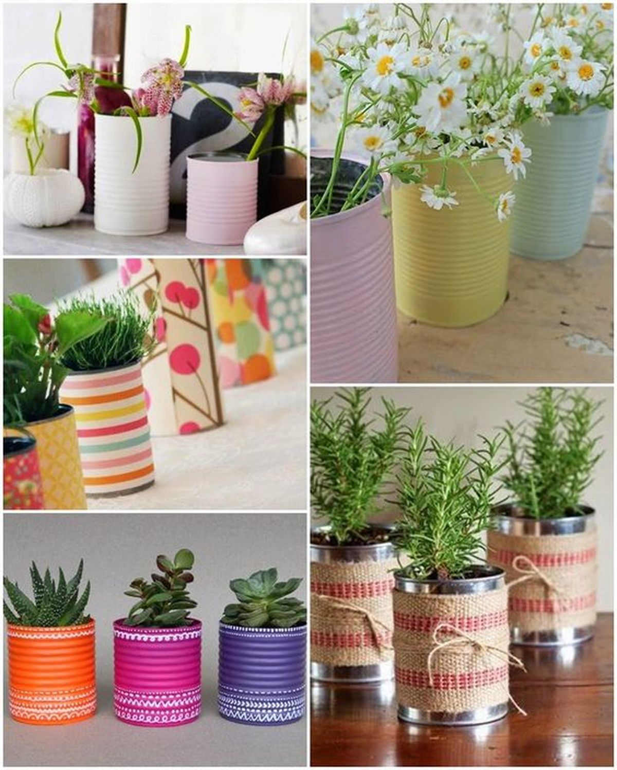 latas con plantas aromaticas pinterest