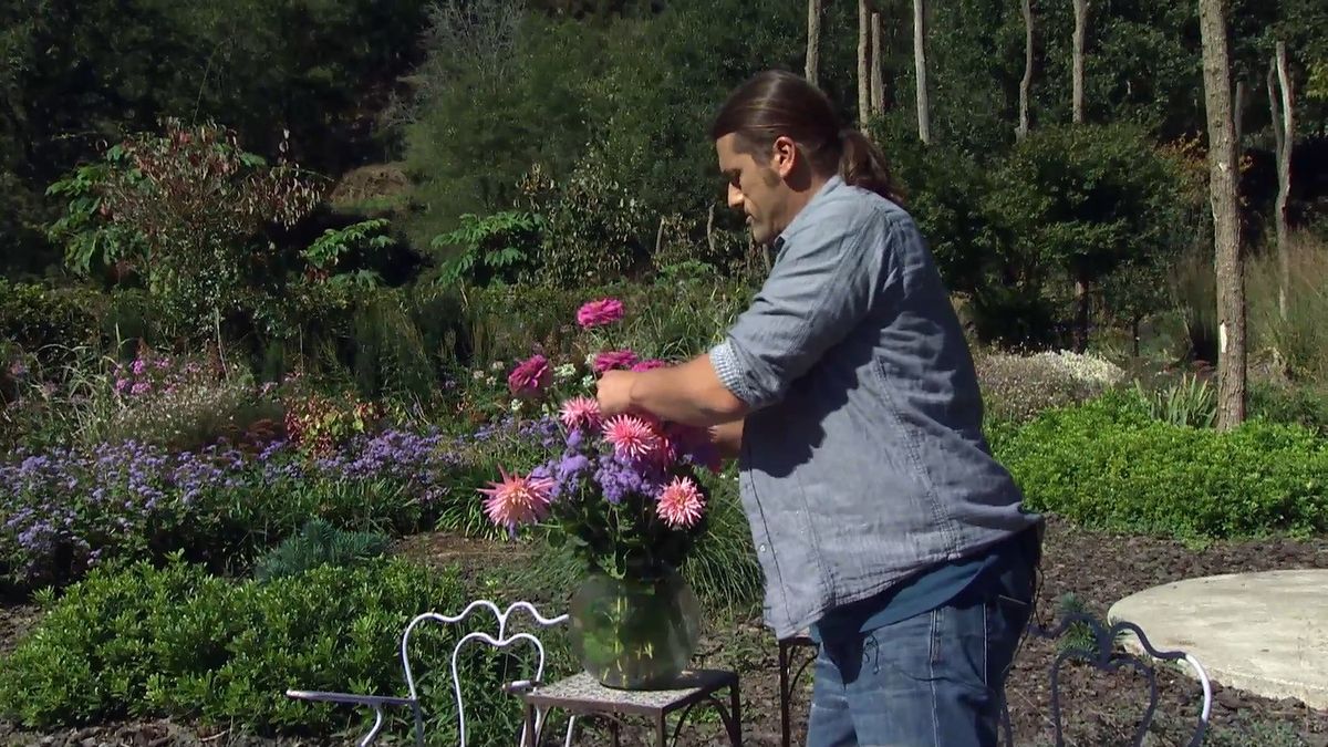 deko 708 jardineria parterre otono composicion floral zinnias