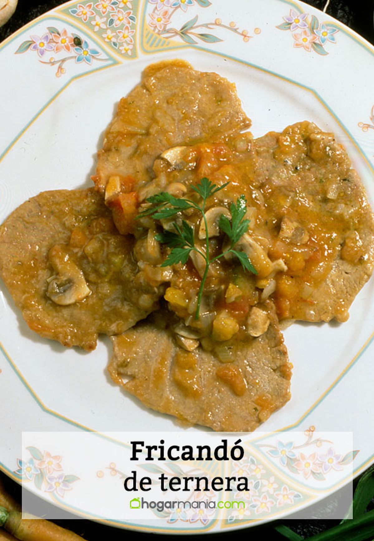 027 2 fricando ternera pin